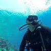 Picture taken during the dive