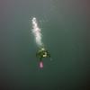 Picture taken during the dive