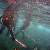 Picture taken during the dive