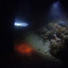 Picture taken during the dive