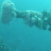 Picture taken during the dive
