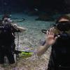 Picture taken during the dive