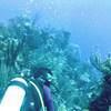 Picture taken during the dive