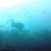 Picture taken during the dive