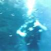 Picture taken during the dive