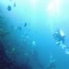 Picture taken during the dive