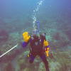 Picture taken during the dive