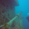 Picture taken during the dive