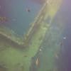 Picture taken during the dive