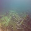 Picture taken during the dive