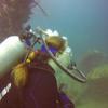 Picture taken during the dive