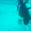 Picture taken during the dive