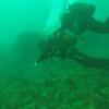 Picture taken during the dive