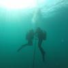 Picture taken during the dive