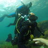 Picture taken during the dive