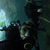 Picture taken during the dive