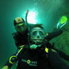 Picture taken during the dive
