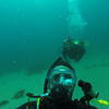 Picture taken during the dive