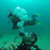 Picture taken during the dive