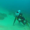 Picture taken during the dive