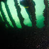 Picture taken during the dive
