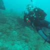 Picture taken during the dive