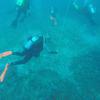 Picture taken during the dive