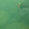 Picture taken during the dive