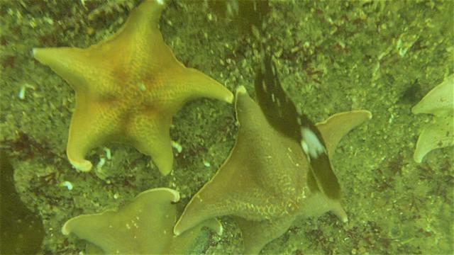 Diver Dan's, Inc. - Dive Center in United States