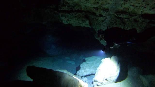 Diving in United States, High Springs, FL - By Sebastien