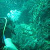 Picture taken during the dive
