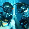 Picture taken during the dive