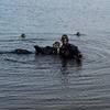 Picture taken during the dive