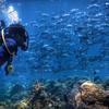 Picture taken during the dive