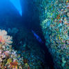 Picture taken during the dive