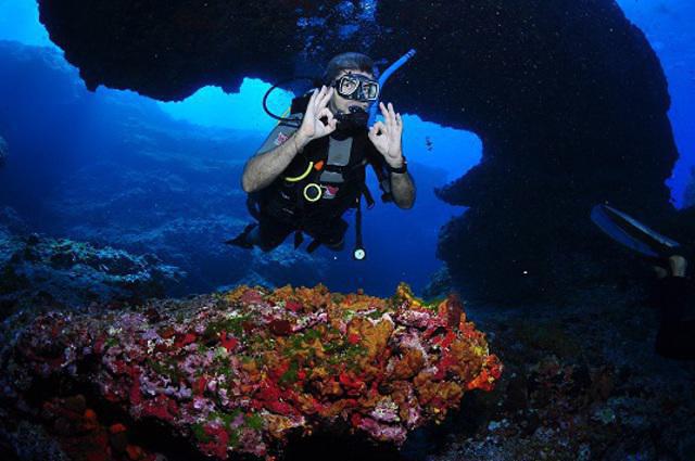 Noronha Divers - Dive Center in Brésil