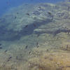 Picture taken during the dive