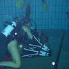 Picture taken during the dive