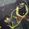 Picture taken during the dive