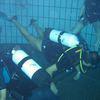 Picture taken during the dive
