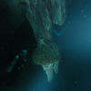 Picture taken during the dive