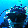 Picture taken during the dive
