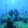Picture taken during the dive