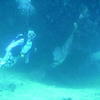 Picture taken during the dive