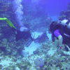 Picture taken during the dive