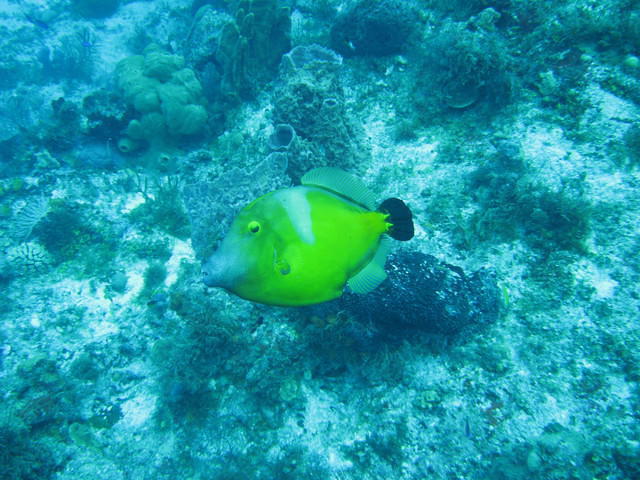 Deep Exposure Dive Center - Dive Center