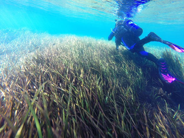 Carolina Dive Center - Dive Center in United States