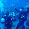 Picture taken during the dive