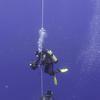 Picture taken during the dive