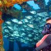 Picture taken during the dive